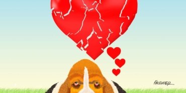 FB_IMG_1722093683070