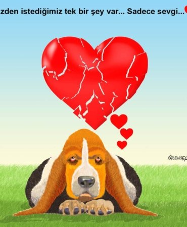 FB_IMG_1722093683070