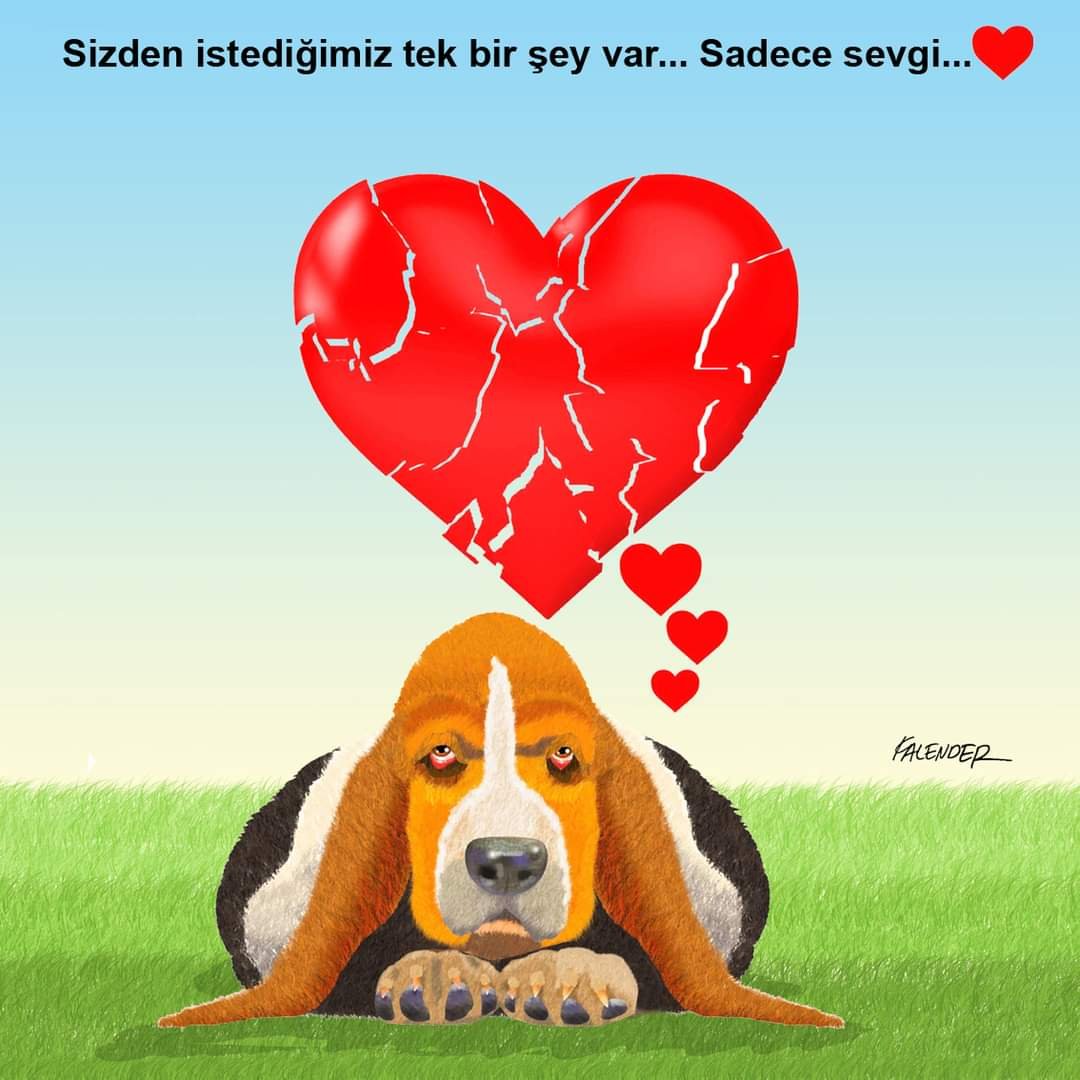 FB_IMG_1722093683070