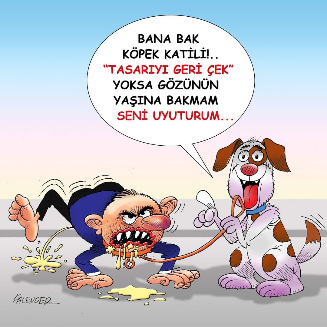 Öznur Kalender: TASARIYI GERİ ÇEK…