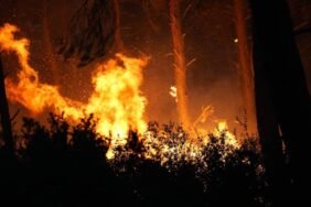 izmir-deki-orman-yangini-suruyor