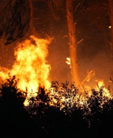 izmir-deki-orman-yangini-suruyor