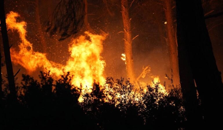 İzmir’in Gaziemir, Buca ve Foça ilçelerinde çıkan orman yangını kontrol altına alındı