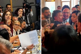 sokak-hayvanlari-teklifinin-komisyon-17531296_9053_amp