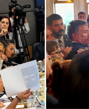 sokak-hayvanlari-teklifinin-komisyon-17531296_9053_amp