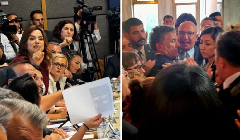Sokak Hayvanlarına “Ötenazi” Kanun Teklifi, TBMM’yi karıştırdı, Hayvan hakları savunucuları komisyon salonuna alınmadı…