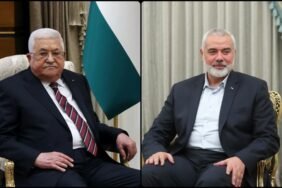 thumbs_b_c_c017558c8624b815379ef5dbee8b6f61