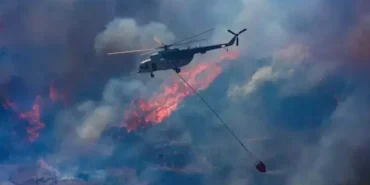 66bf10b02a36a3daf145e6ed