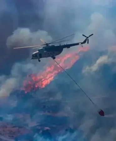 66bf10b02a36a3daf145e6ed