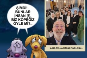 FB_IMG_1722511011414