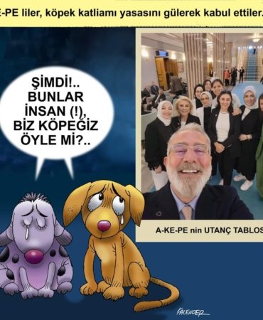 FB_IMG_1722511011414