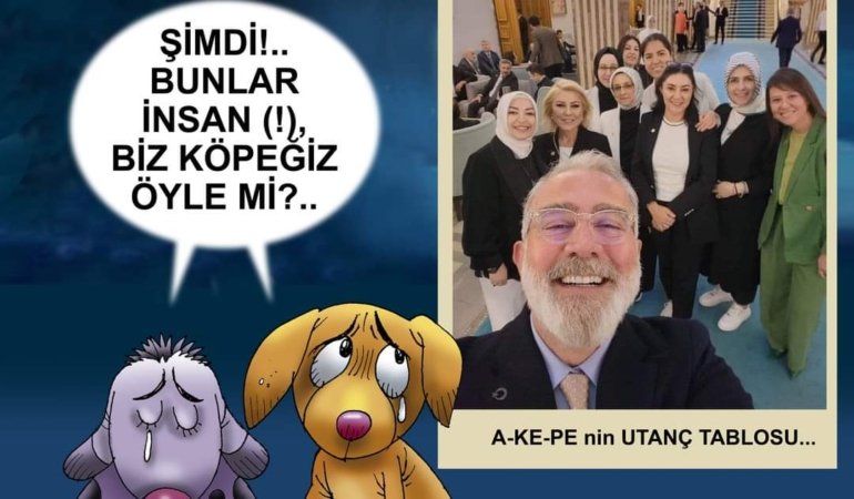 Eyy vicdan neredesin?…