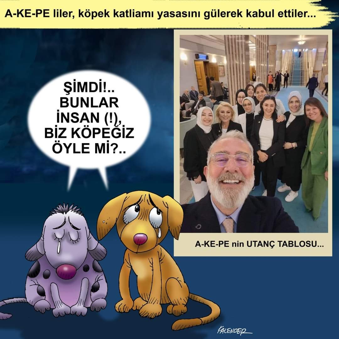 FB_IMG_1722511011414