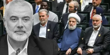 ghjghkjhkjhkjkj-xrjr