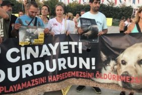 461223008_1999916740525809_3217794297970126378_n