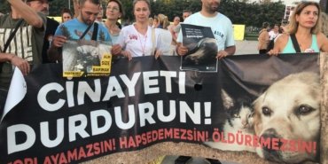 461223008_1999916740525809_3217794297970126378_n