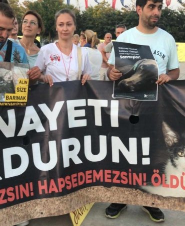 461223008_1999916740525809_3217794297970126378_n