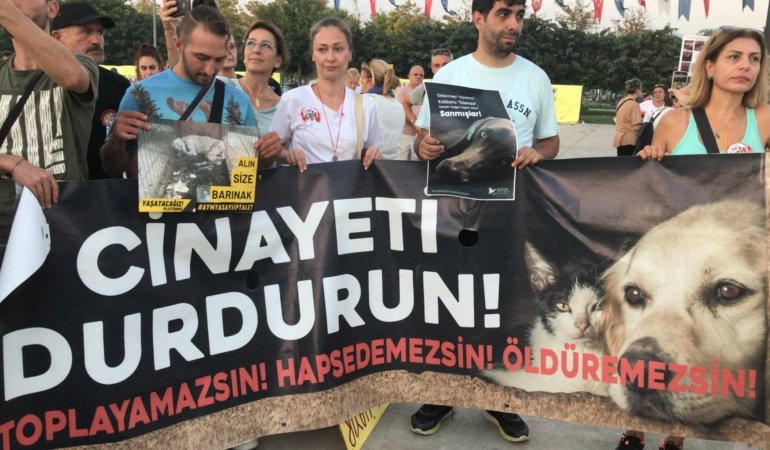 Sokak hayvanlarının yaşam hakkı için Maltepe’de miting! Hayvan severler AYM’den ‘Katliam Yasası’nın iptalini talep ediyor…
