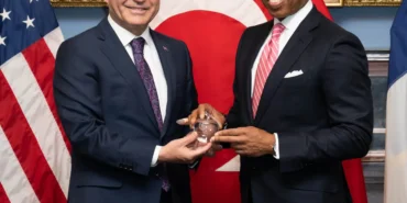 6d316106ef006e82ef2e65454d9d6b8062-adams-turkey.1x.rsquare.w1400