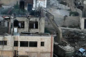 AP24263680439623-1-1726814791