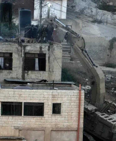 AP24263680439623-1-1726814791