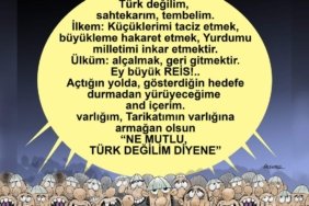 FB_IMG_1726005870020