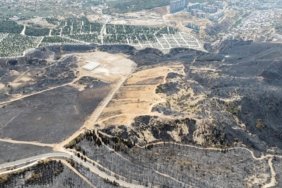 yangin-e1725278284745