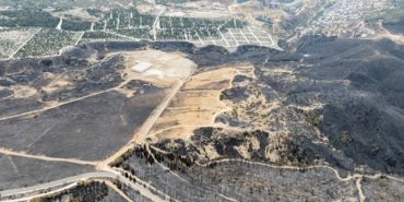 yangin-e1725278284745