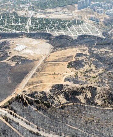 yangin-e1725278284745