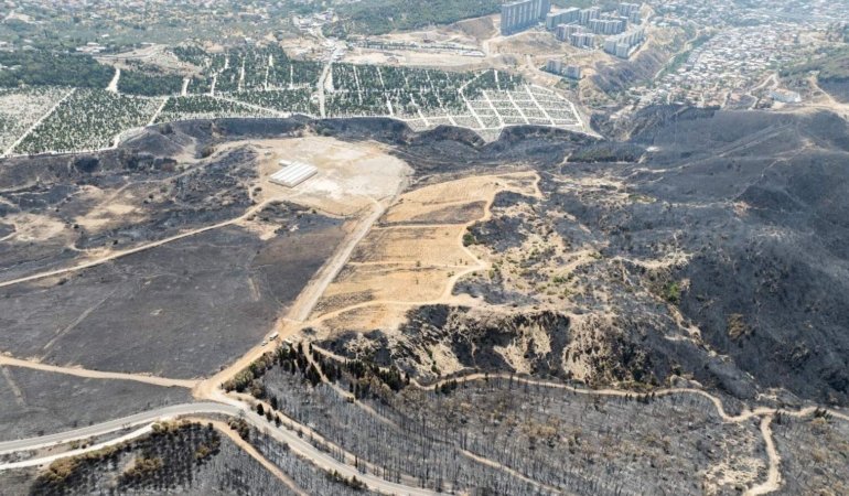 İzmir’in Bayraklı ilçesinde yanan orman arazileri, Cumhurbaşkanı kararnamesiyle ranta açıldı! İzmir Büyükşehir Belediyesi dava açıyor…