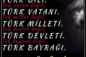 FB_IMG_1731070875472