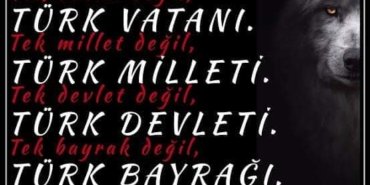 FB_IMG_1731070875472