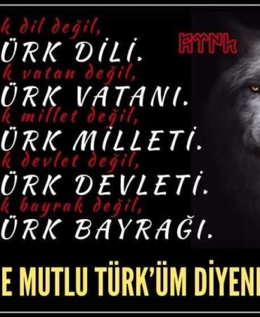 FB_IMG_1731070875472