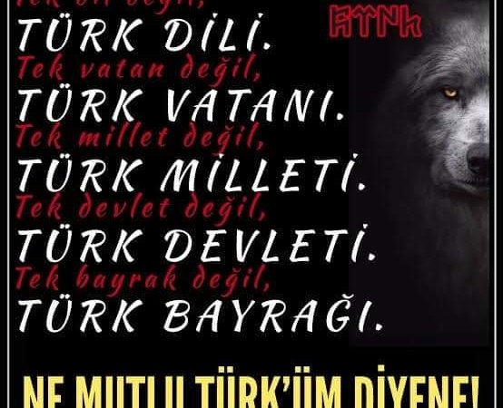 Vecdet ÖZ yazdı: TÜRK DİLİ