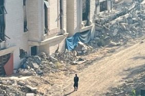 image1170x530cropped (2)