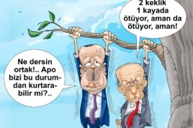 FB_IMG_1736919161872