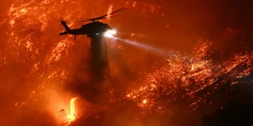 lnsoopn_california-wildfire-afp-_625x300_12_January_25