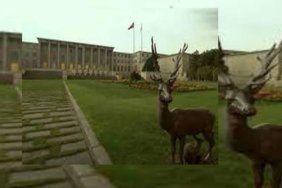 38d69a99-dfa4-4594-ac1f-cc6574e89d8d