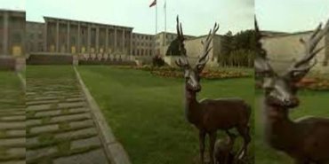 38d69a99-dfa4-4594-ac1f-cc6574e89d8d