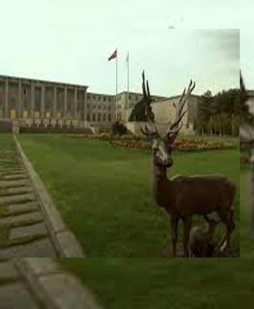 38d69a99-dfa4-4594-ac1f-cc6574e89d8d