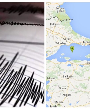 20250423_131439-COLLAGE