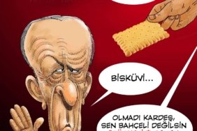 FB_IMG_1744045227937