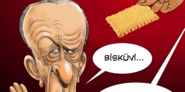 FB_IMG_1744045227937