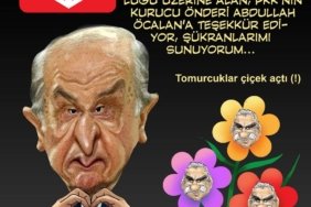 FB_IMG_1747251683217