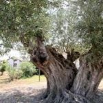 07bcf18b1a674bb7be0e7fa379220216-480x268