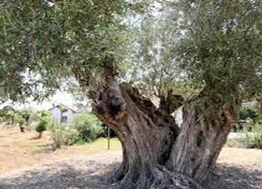 07bcf18b1a674bb7be0e7fa379220216-480x268