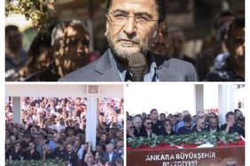 20250707_223352-COLLAGE