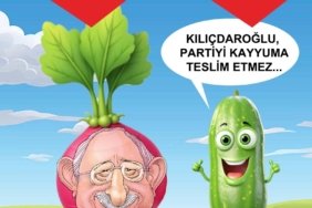 514343039_122141622662765116_7379428585986642668_n