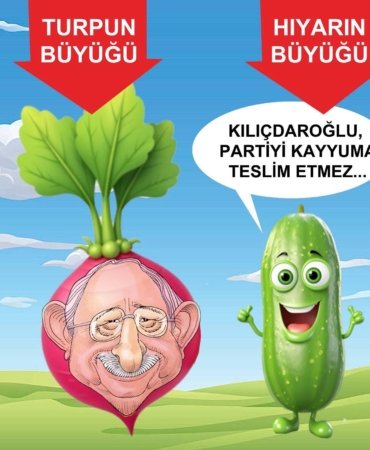 514343039_122141622662765116_7379428585986642668_n