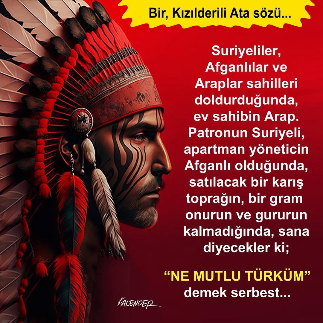 FB_IMG_1751727613874
